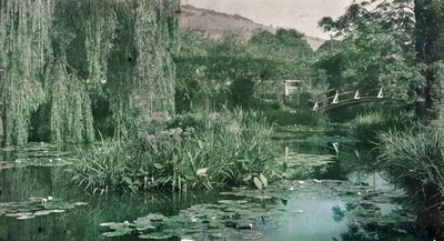 Waterlelievijver en Japanse brug in Monet